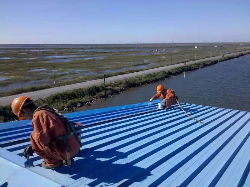 郓城彩钢瓦屋面防腐翻新